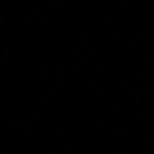 Meet your Posher, Hector